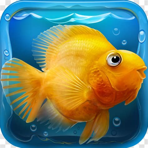 IQuarium Relaxing Game Download Android - Aquarium Transparent PNG