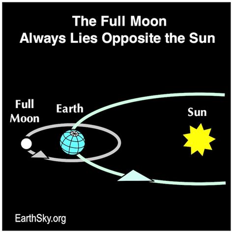 EarthSky | 2022’s September full moon is the Harvest Moon