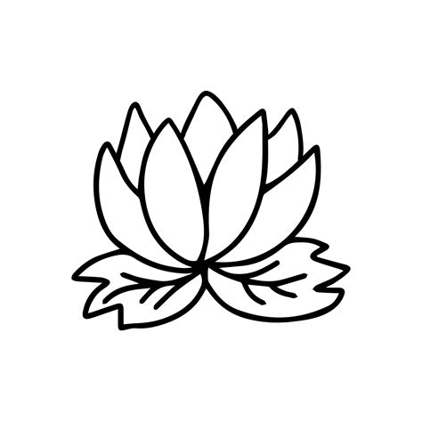 Doodle Water lily or lotus vector illustration. Hand drawn floral ...