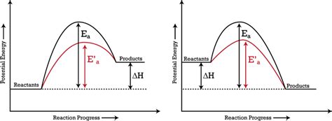 10.3: Effects of Temperature, Concentration, and Catalysts on Reaction ...