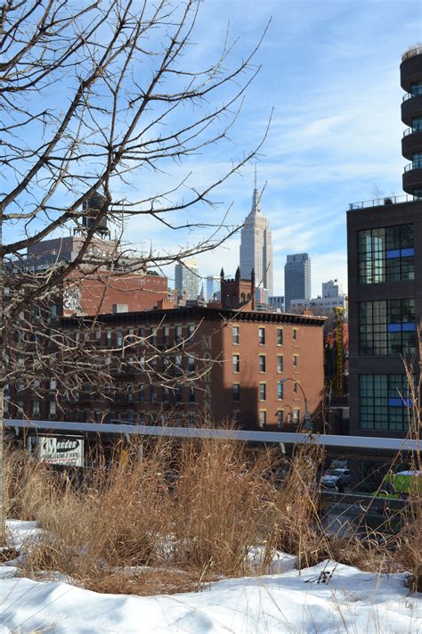 The Highline NYC in art & installations: Winter 2016 | Liv and Rob