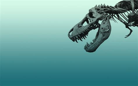 Dinosaur Skeleton Wallpaper