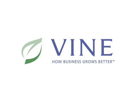 Vine Logo PNG Transparent & SVG Vector - Freebie Supply