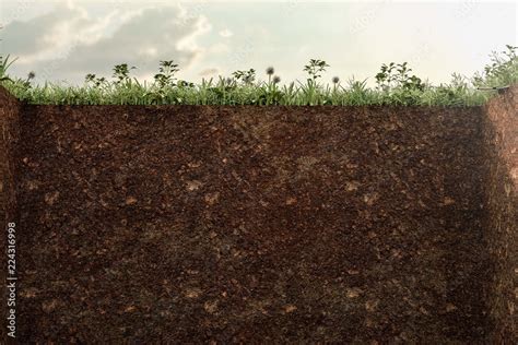 empty grave Stock Illustration | Adobe Stock