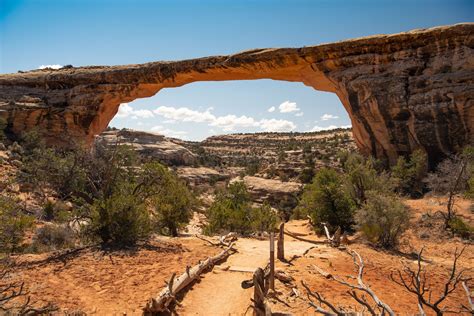 Natural Bridges National Monument | Canyon, Arches, Hiking | Britannica