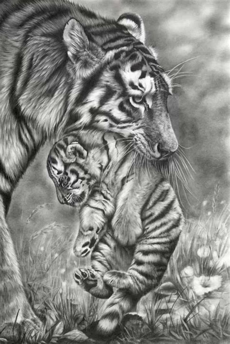 Dibujo | Realistic animal drawings, Pencil drawings of animals ...