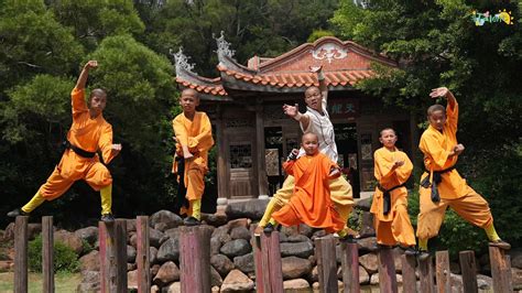 Shaolin spirit lives on in kung fu pupils - CGTN