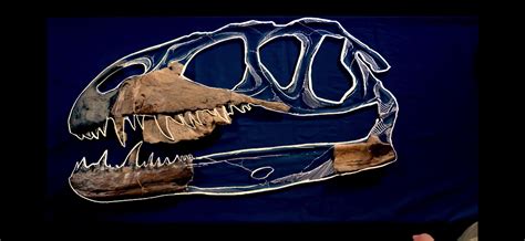 Estimate of Megalosaurus skull with fragmentary fossil material. : r ...