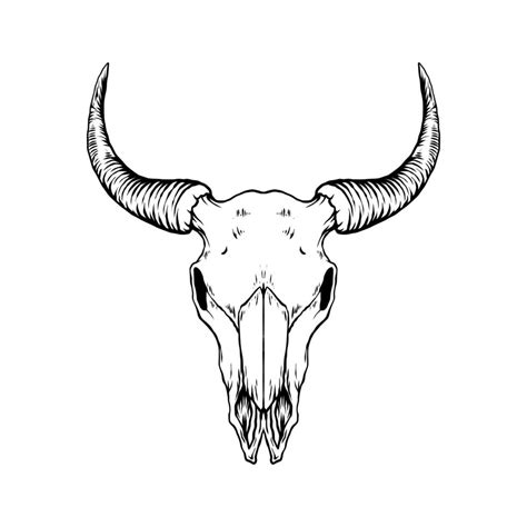 Bull skull vector art 13509178 Vector Art at Vecteezy