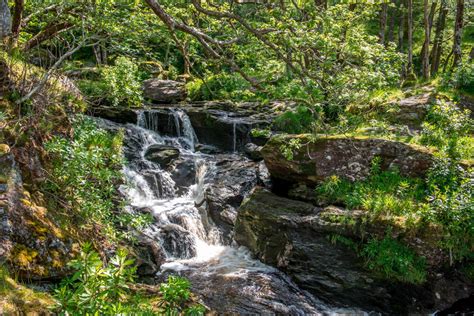 Trossachs Highlights — The Trossachs Trail