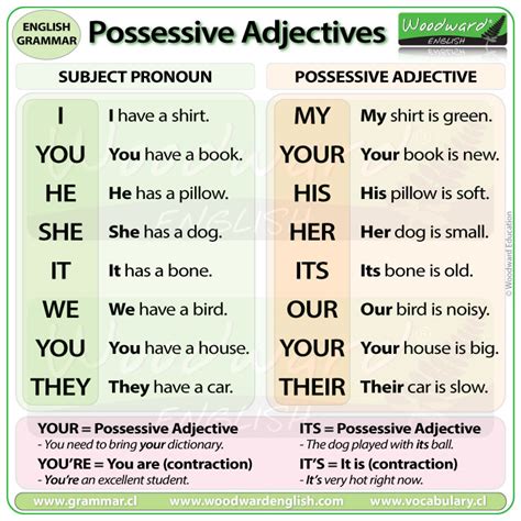 Possessive Adjectives | Woodward English