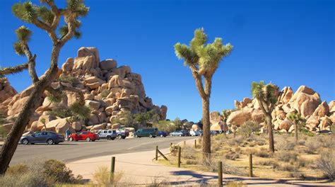 Visit Joshua Tree National Park in California | Expedia