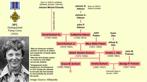 Amelia Earhart Family Tree : r/UsefulCharts