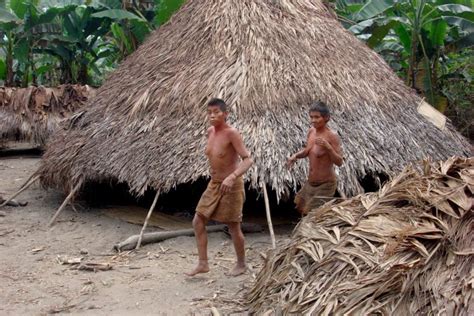 Mercury poisoning chief among health problems facing Peru’s uncontacted ...