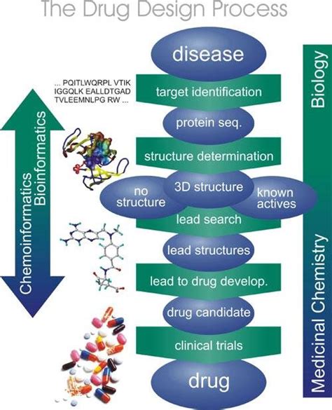 Flow chart of Drug Development Process. | Download Scientific Diagram