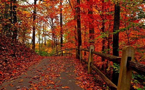 free screensaver wallpapers for fall | Fall desktop backgrounds, Fall ...