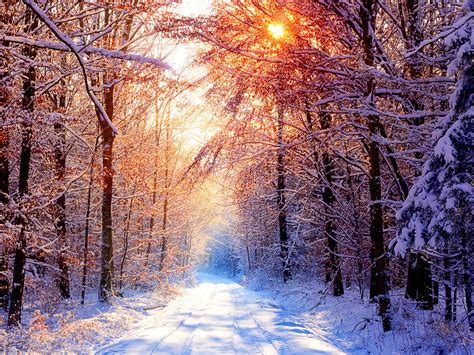 Best Wallpaper Collection: Best Winter Wallpapers