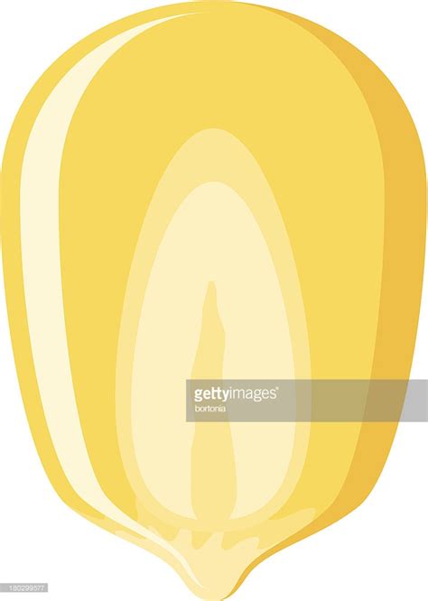 Corn Kernel Icon #200893 - Free Icons Library