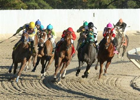 Delta Downs Racetrack & Casino (Vinton) - 2021 All You Need to Know ...