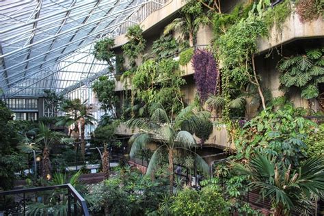 Barbican Conservatory: London's Beautiful Indoor Rainforest