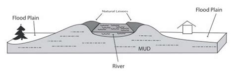 Natural Levee Diagram