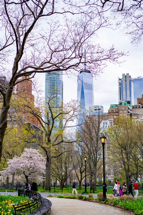 The 10 BEST Parks in New York City (A Local's Guide)