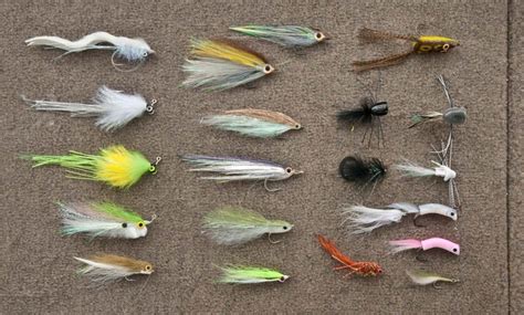 Fly Fishing Bass: Take Advantage of Late-Winter Warming Trends - Fly ...