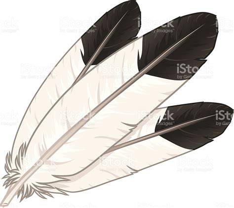 3 feathers clipart 10 free Cliparts | Download images on Clipground 2024