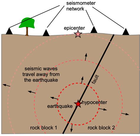 Earthquake Seismograph Waves