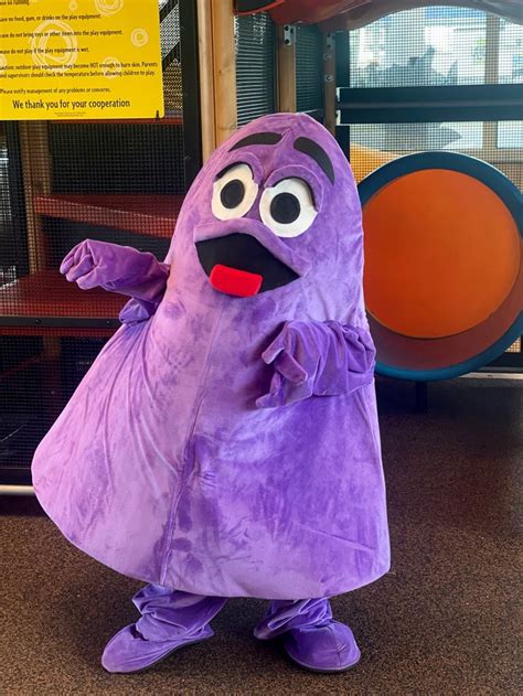 Grimace Costume McDonald’s Halloween | Diy halloween costumes, Family ...