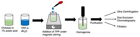 Molecules | Free Full-Text | A Simple Method for Synthesis of Chitosan ...