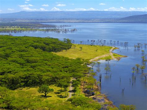 Lake Nakuru National Park | Go Africa