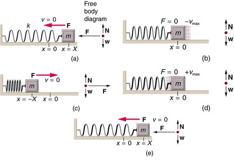 Simple Harmonic Motion: A Special Periodic Motion | Physics