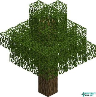 Oak (tree) | How to craft oak (tree) in Minecraft | Minecraft Wiki