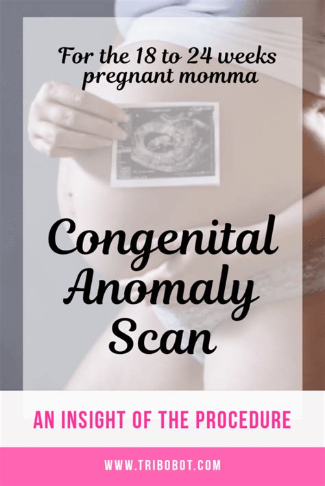 Congenital Anomaly Scan at In My Womb Megamall - Tribobot x Mom Nessly