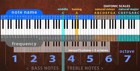 Piano Keys: Theory, History, and Secrets Unlocked • Grand Piano Passion™