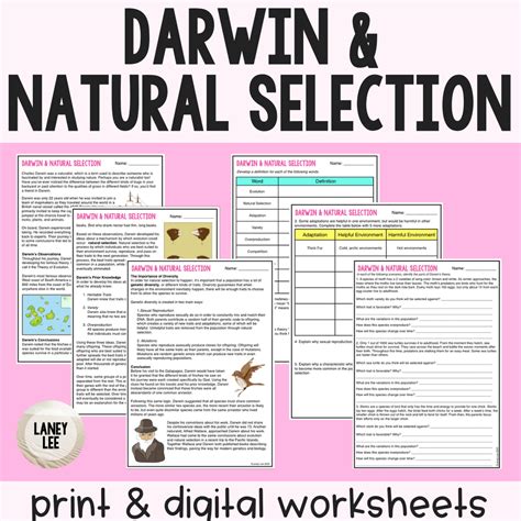 Darwin Natural Selection Worksheet