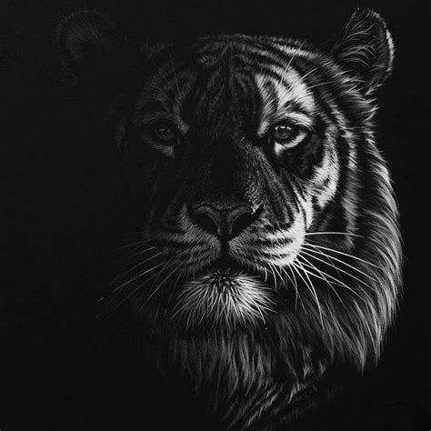 13 Incredible Wildlife Artworks Created By Richard Symonds