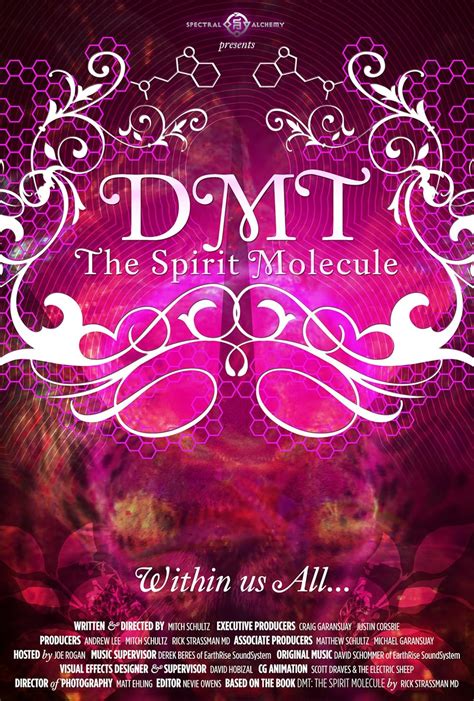 DMT: The Spirit Molecule (2010) - IMDb