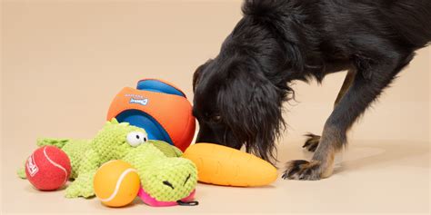 Moving Squirrel Toys For Dogs - Home Alqu