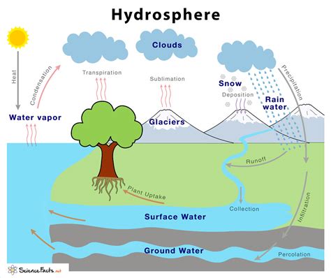 Hydrosphere - Definition, Characteristics, Examples, & Diagram