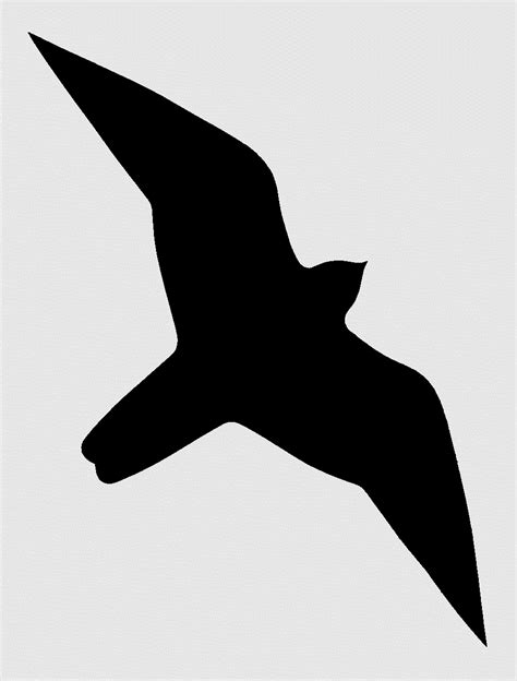 falcon silhouette clipart 10 free Cliparts | Download images on ...