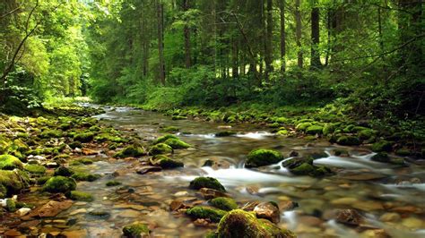 Image result for summer country scenes | Mountain stream, Landscape ...