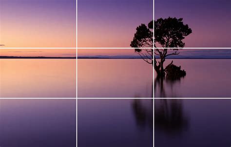 How to Arrange a Photographic Composition With the Rule of Thirds ...