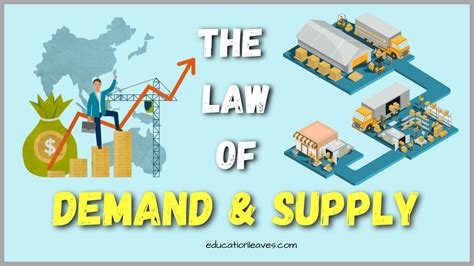 Law of Demand and Supply: [PDF Included] Curves, Importance, Conditions ...