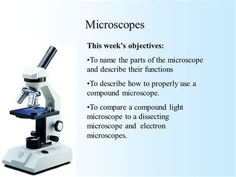 what does the low power objective do on a microscope