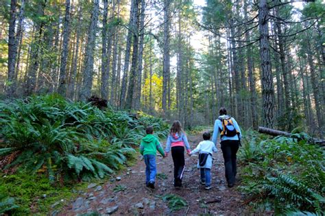 Mount Tzouhalem is a quick hike with an incredible view! - Traveling ...