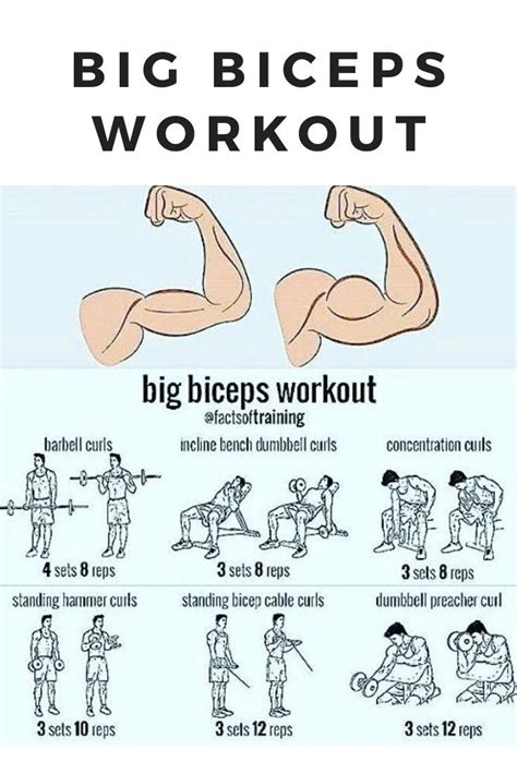 Perfect Workout for biceps. #guns #biceps #workout #exercise #muscles ...