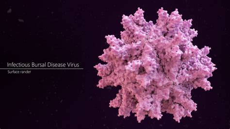 Infectious Bursal Disease Virus (IBDV) 3D Model $59 - .obj .ma .fbx ...