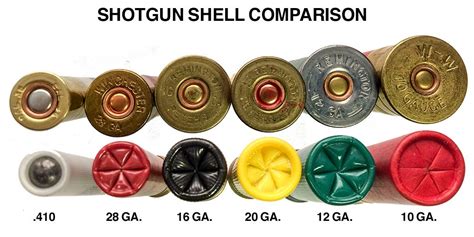 12 Gauge Shotgun Shells Types Chart